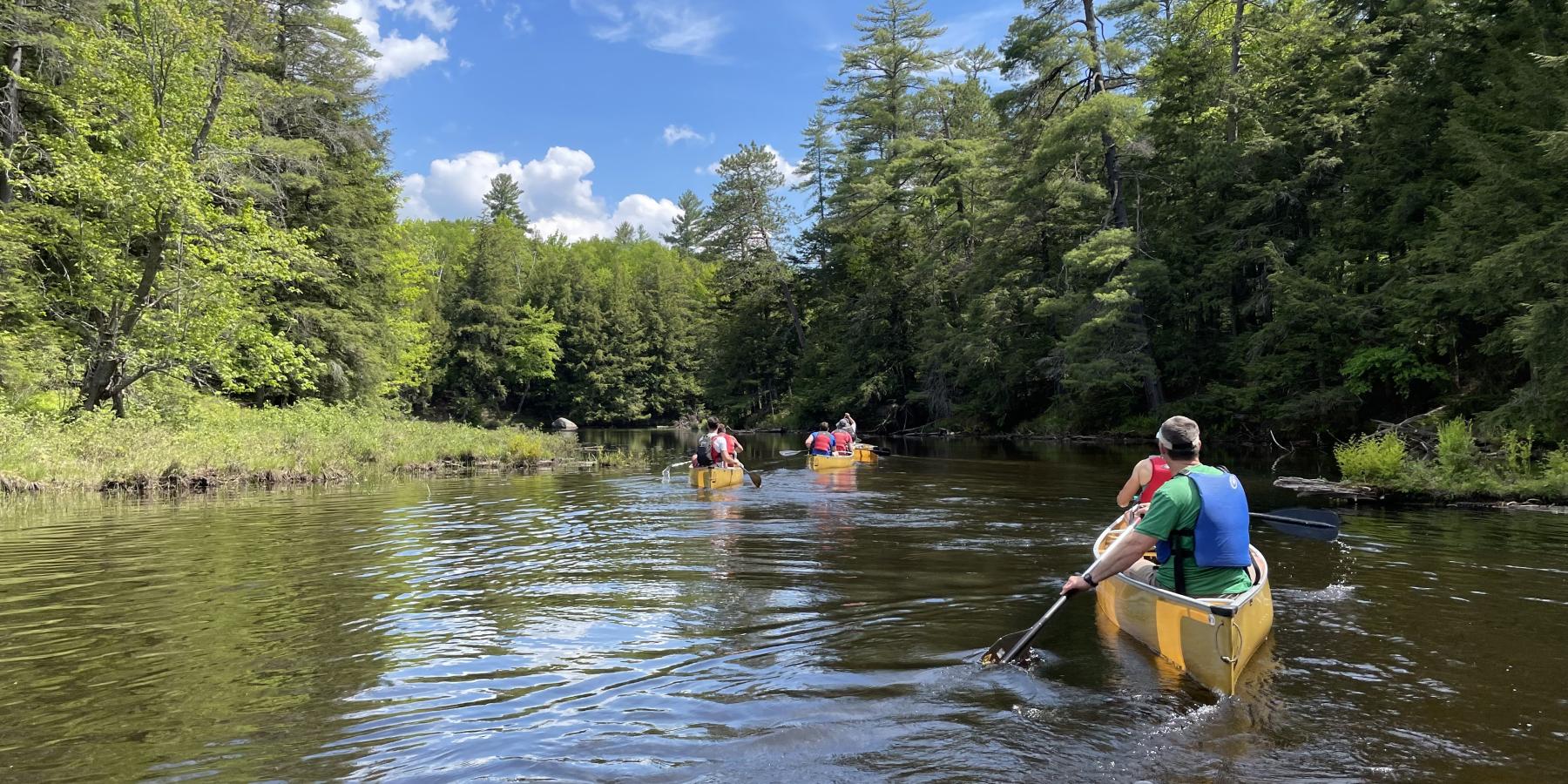 Group Entering Fish Creek