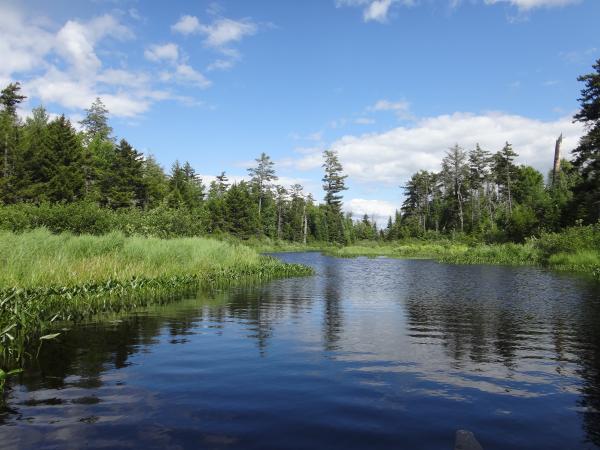 Little Tupper Lake and Round Lake St. Regis Canoe Outfitters