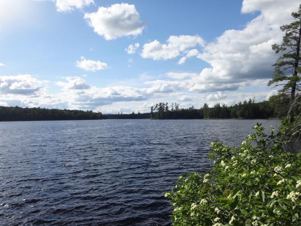 Little Tupper Lake and Round Lake | St. Regis Canoe Outfitters