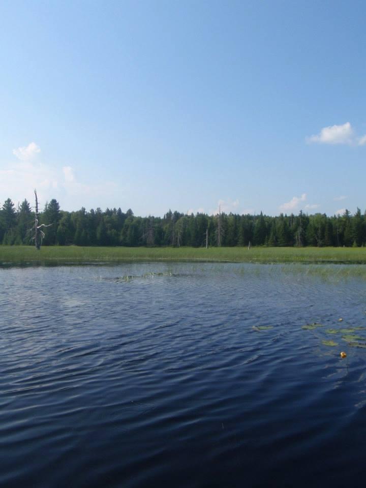 lake lila to low's lower dam st. regis canoe outfitters